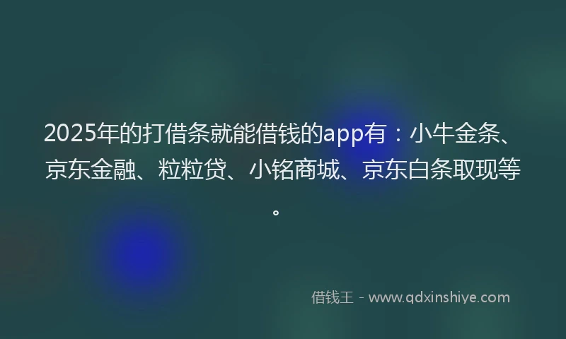 2025年的打借条就能借钱的app有：小牛金条、京东金融、粒粒贷、小铭商城、京东白条取现等。