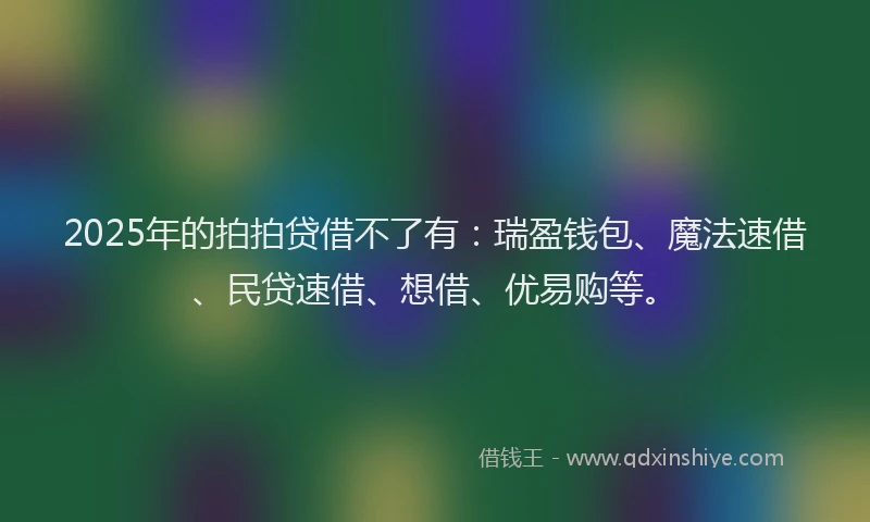 2025年的拍拍贷借不了有：瑞盈钱包、魔法速借、民贷速借、想借、优易购等。