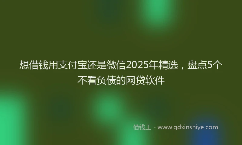想借钱用支付宝还是微信2025年精选，盘点5个不看负债的网贷软件
