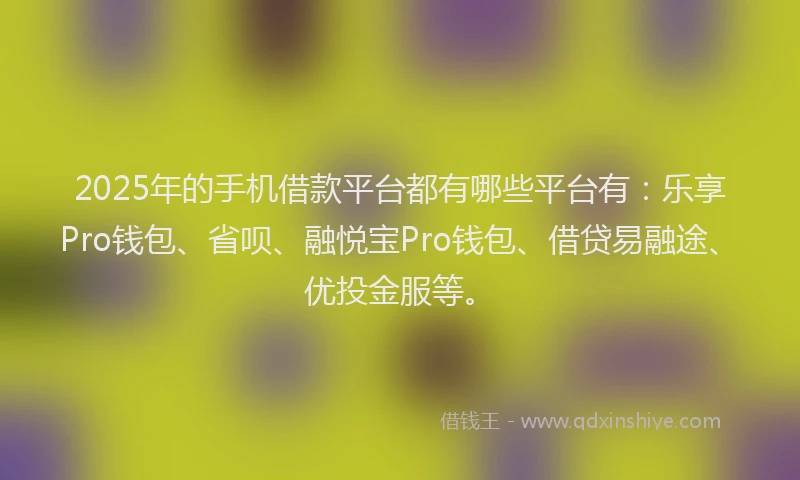 2025年的手机借款平台都有哪些平台有：乐享Pro钱包、省呗、融悦宝Pro钱包、借贷易融途、优投金服等。