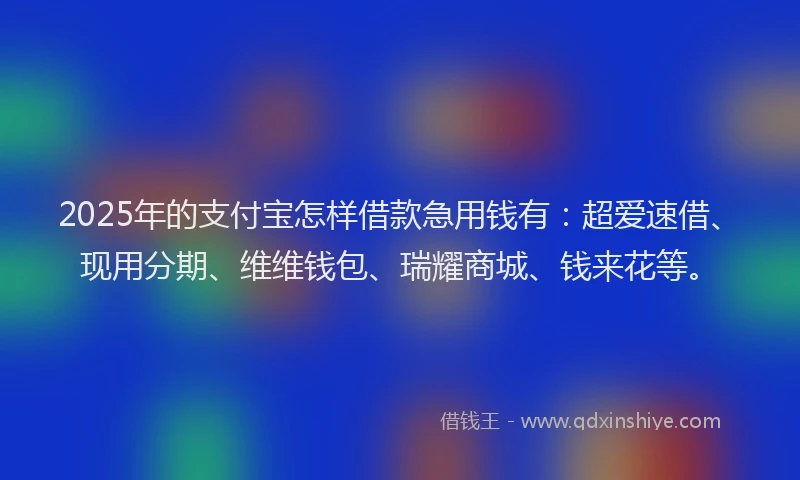2025年的支付宝怎样借款急用钱有：超爱速借、现用分期、维维钱包、瑞耀商城、钱来花等。