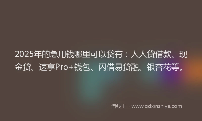 2025年的急用钱哪里可以贷有：人人贷借款、现金贷、速享Pro+钱包、闪借易贷融、银杏花等。
