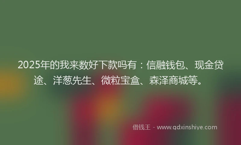 2025年的我来数好下款吗有：信融钱包、现金贷途、洋葱先生、微粒宝盒、森泽商城等。