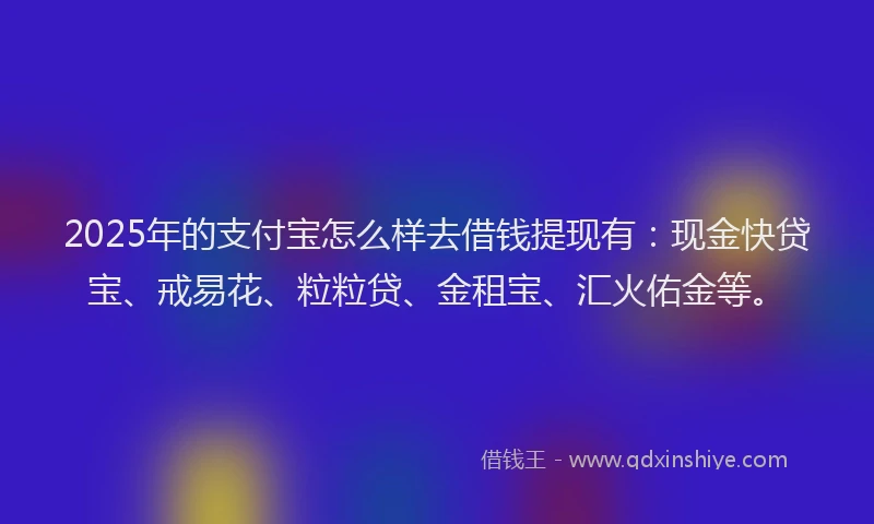 2025年的支付宝怎么样去借钱提现有：现金快贷宝、戒易花、粒粒贷、金租宝、汇火佑金等。
