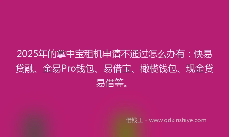 2025年的掌中宝租机申请不通过怎么办有：快易贷融、金易Pro钱包、易借宝、橄榄钱包、现金贷易借等。