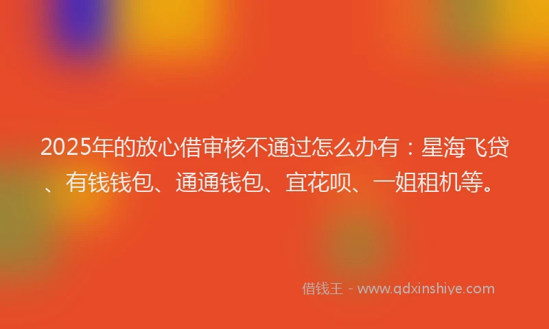 2025年的放心借审核不通过怎么办有：星海飞贷、有钱钱包、通通钱包、宜花呗、一姐租机等。