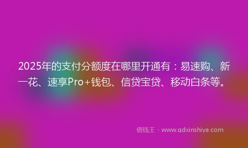 2025年的支付分额度在哪里开通有：易速购、新一花、速享Pro+钱包、信贷宝贷、移动白条等。