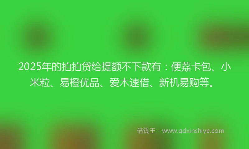 2025年的拍拍贷给提额不下款有：便荔卡包、小米粒、易橙优品、爱木速借、新机易购等。