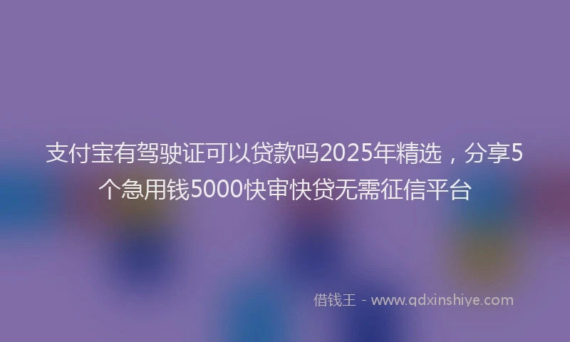 支付宝有驾驶证可以贷款吗2025年精选，分享5个急用钱5000快审快贷无需征信平台
