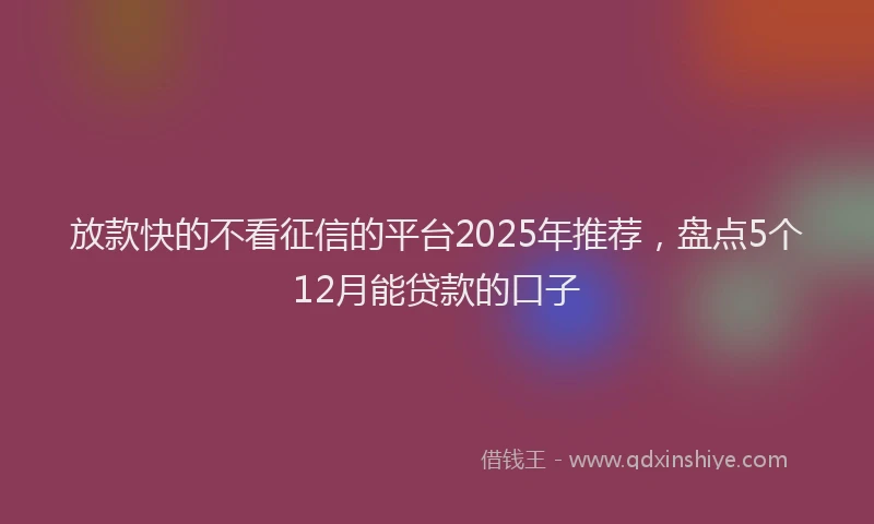 放款快的不看征信的平台2025年推荐，盘点5个12月能贷款的口子