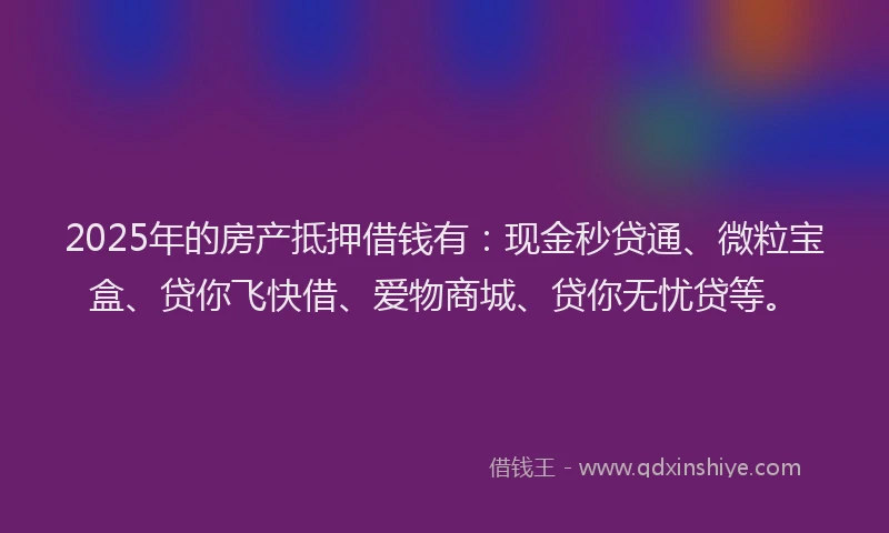 2025年的房产抵押借钱有：现金秒贷通、微粒宝盒、贷你飞快借、爱物商城、贷你无忧贷等。