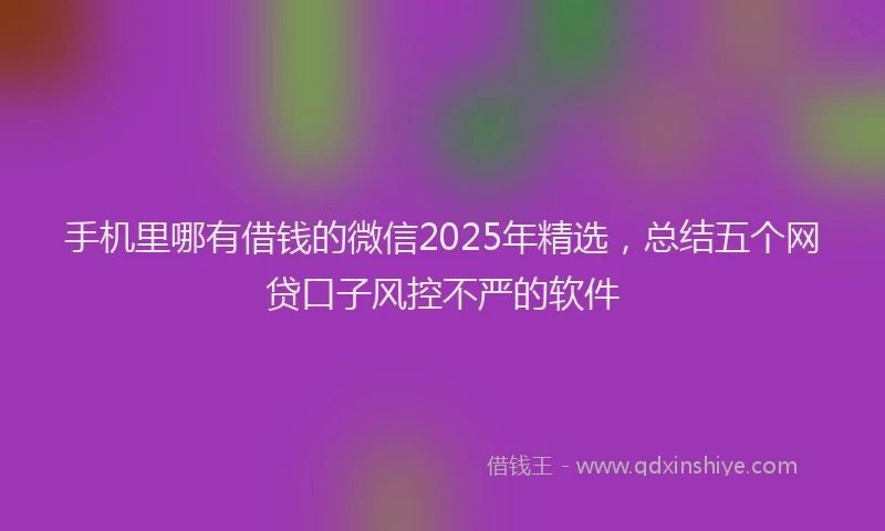 手机里哪有借钱的微信2025年精选，总结五个网贷口子风控不严的软件