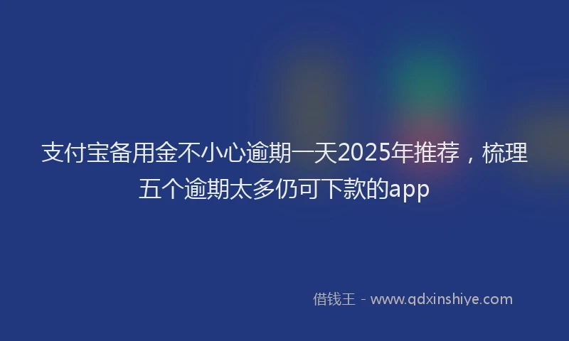 支付宝备用金不小心逾期一天2025年推荐，梳理五个逾期太多仍可下款的app