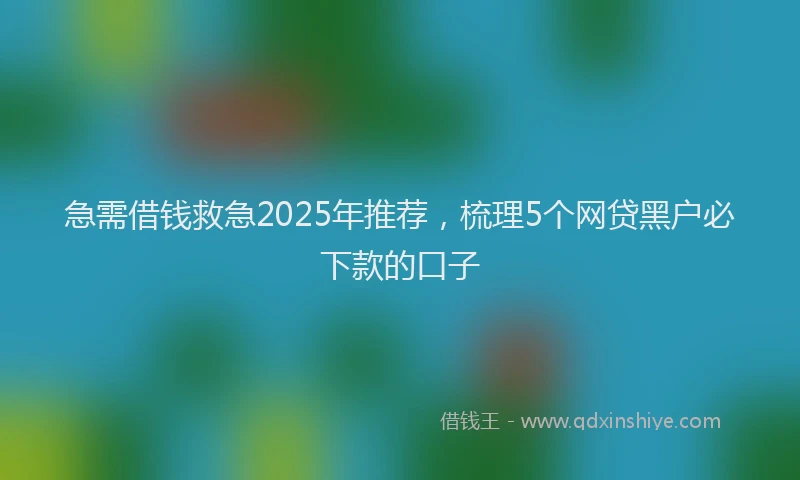 急需借钱救急2025年推荐，梳理5个网贷黑户必下款的口子