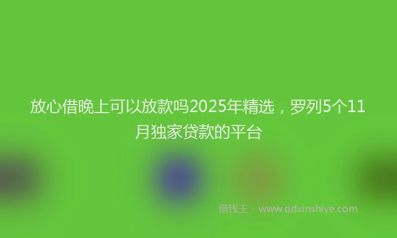 放心借晚上可以放款吗2025年精选，罗列5个11月独家贷款的平台