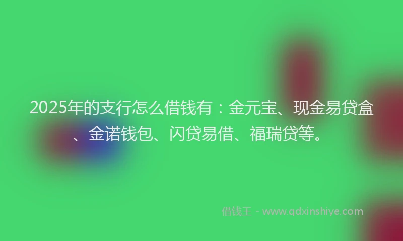 2025年的支行怎么借钱有：金元宝、现金易贷盒、金诺钱包、闪贷易借、福瑞贷等。