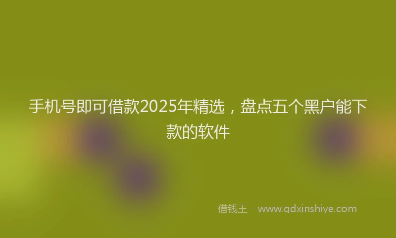 手机号即可借款2025年精选，盘点五个黑户能下款的软件