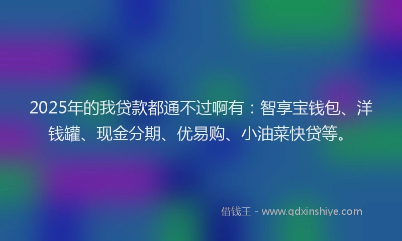 2025年的我贷款都通不过啊有：智享宝钱包、洋钱罐、现金分期、优易购、小油菜快贷等。