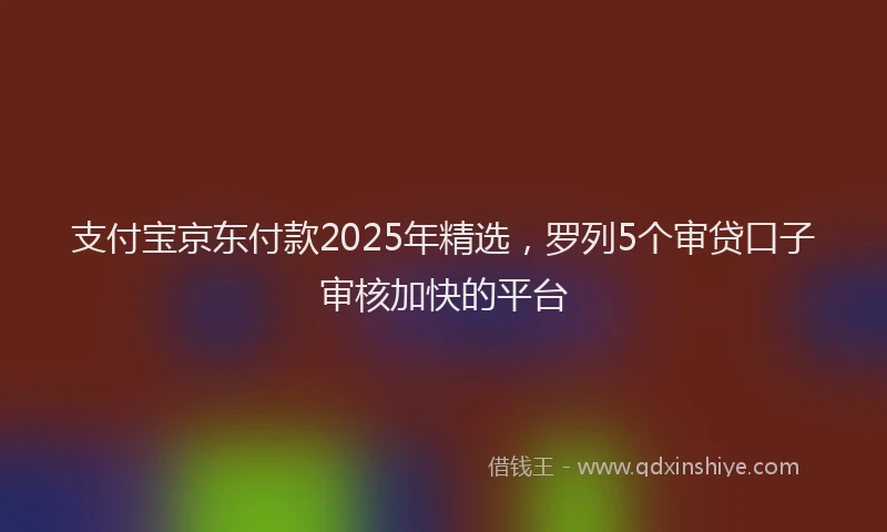 支付宝京东付款2025年精选，罗列5个审贷口子审核加快的平台