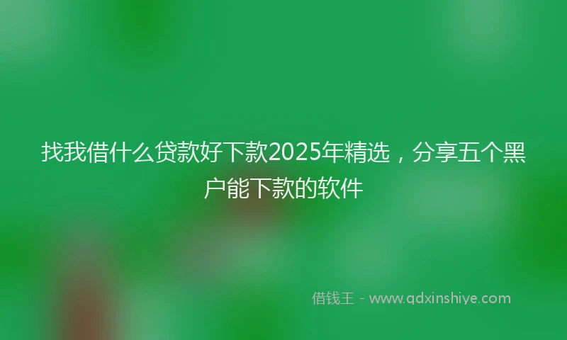 找我借什么贷款好下款2025年精选，分享五个黑户能下款的软件