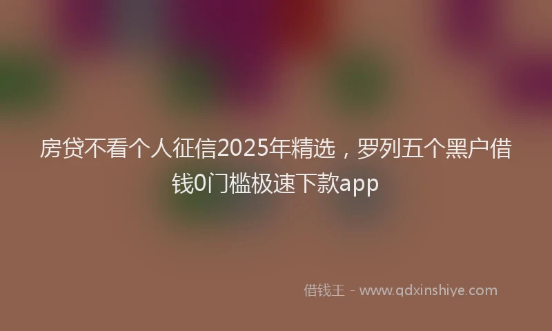 房贷不看个人征信2025年精选，罗列五个黑户借钱0门槛极速下款app