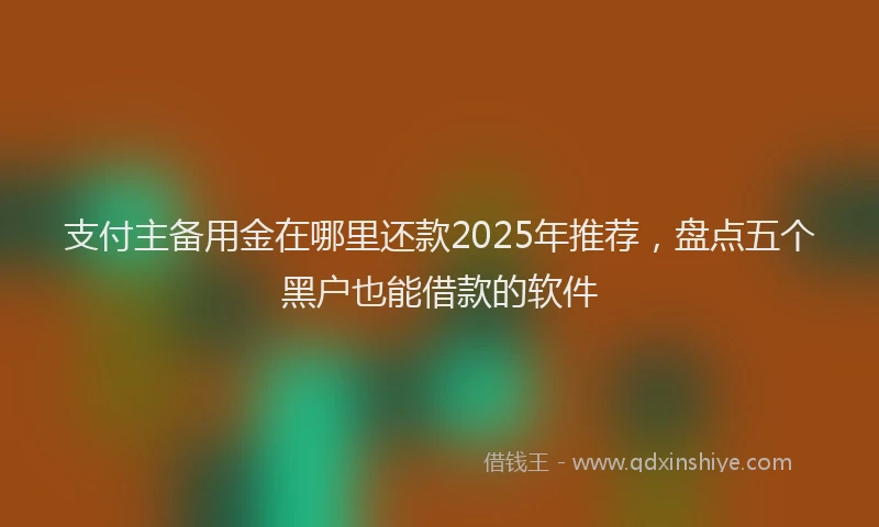 支付主备用金在哪里还款2025年推荐，盘点五个黑户也能借款的软件