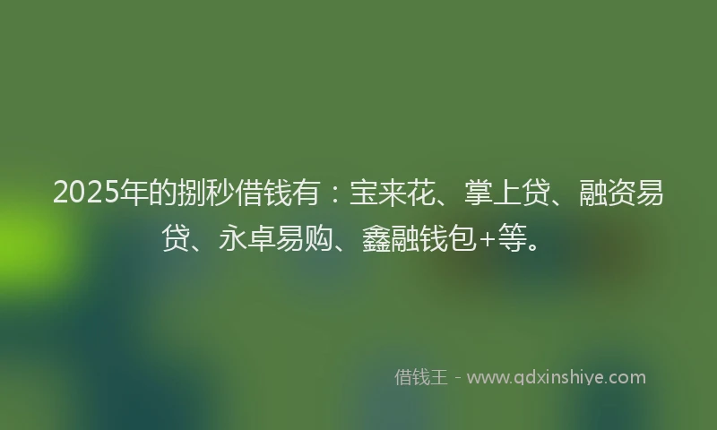 2025年的捌秒借钱有：宝来花、掌上贷、融资易贷、永卓易购、鑫融钱包+等。