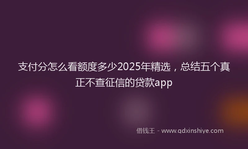 支付分怎么看额度多少2025年精选，总结五个真正不查征信的贷款app