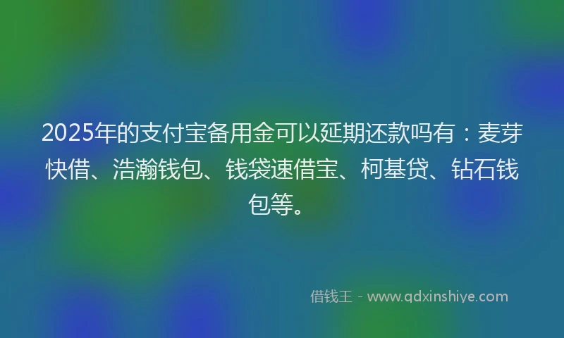 2025年的支付宝备用金可以延期还款吗有：麦芽快借、浩瀚钱包、钱袋速借宝、柯基贷、钻石钱包等。