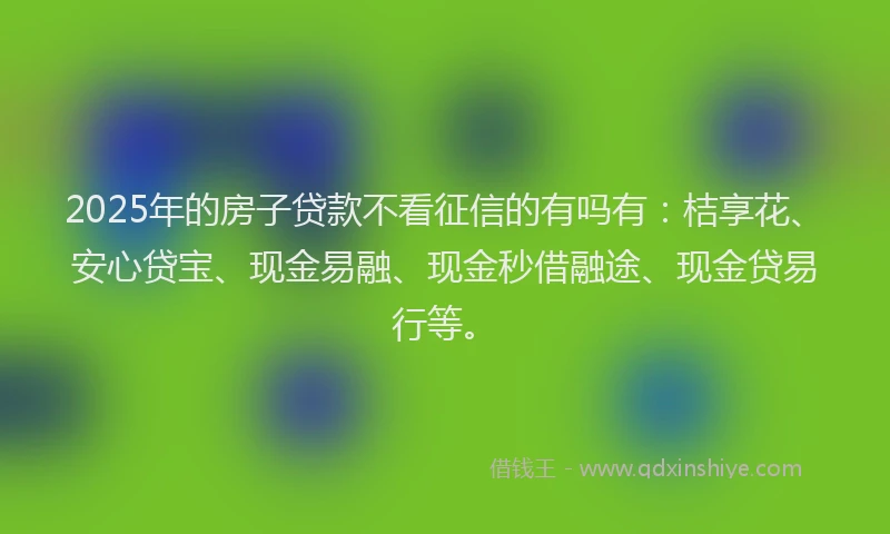 2025年的房子贷款不看征信的有吗有：桔享花、安心贷宝、现金易融、现金秒借融途、现金贷易行等。