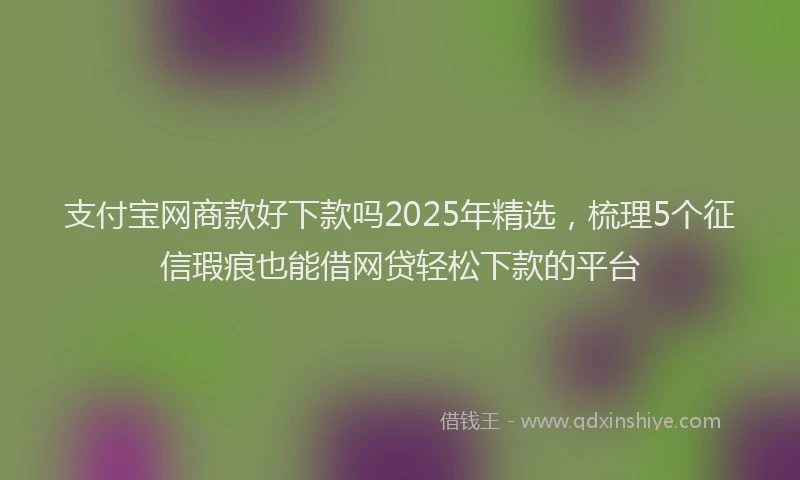 支付宝网商款好下款吗2025年精选，梳理5个征信瑕疵也能借网贷轻松下款的平台