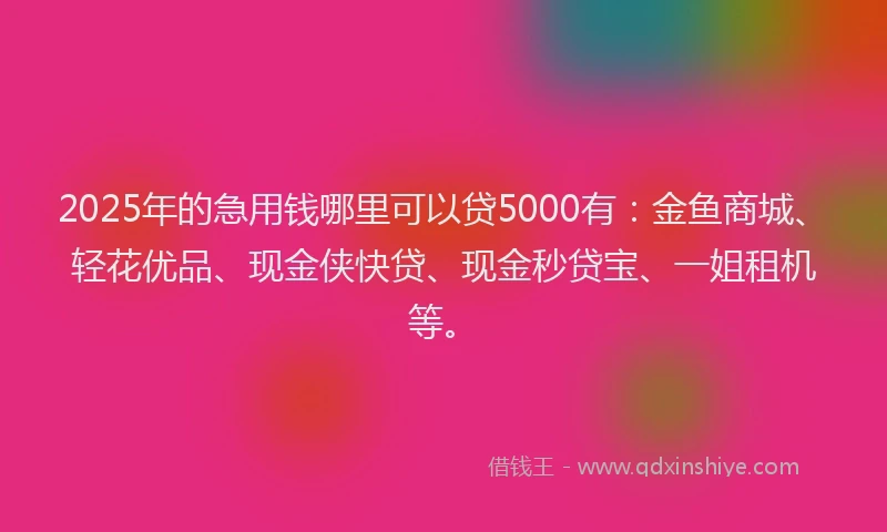 2025年的急用钱哪里可以贷5000有：金鱼商城、轻花优品、现金侠快贷、现金秒贷宝、一姐租机等。