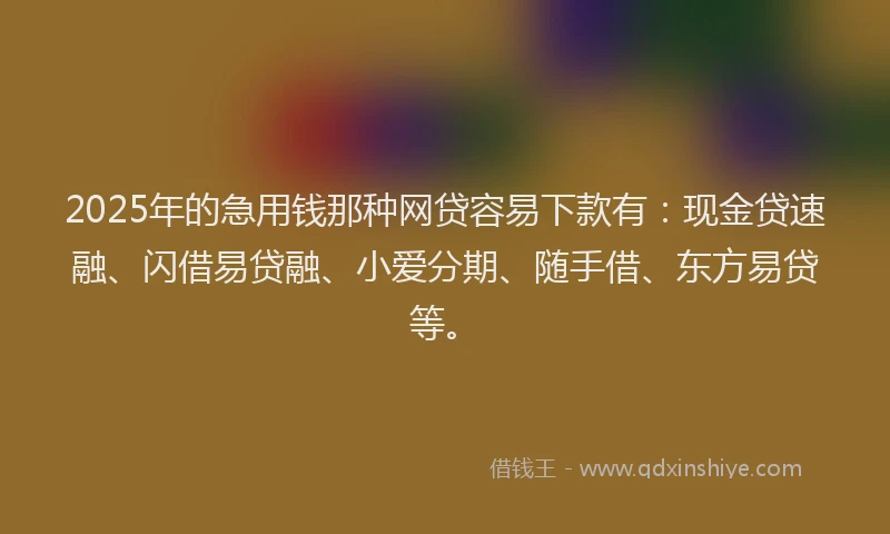 2025年的急用钱那种网贷容易下款有：现金贷速融、闪借易贷融、小爱分期、随手借、东方易贷等。