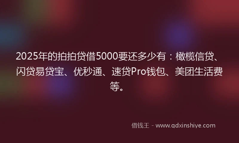 2025年的拍拍贷借5000要还多少有：橄榄信贷、闪贷易贷宝、优秒通、速贷Pro钱包、美团生活费等。