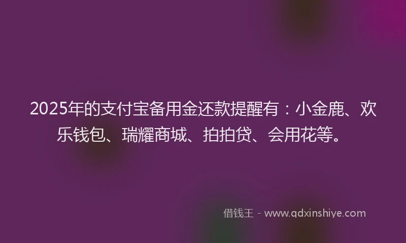 2025年的支付宝备用金还款提醒有：小金鹿、欢乐钱包、瑞耀商城、拍拍贷、会用花等。