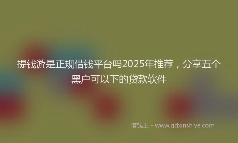 提钱游是正规借钱平台吗2025年推荐，分享五个黑户可以下的贷款软件