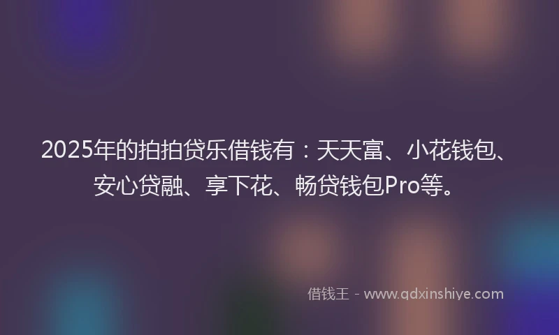 2025年的拍拍贷乐借钱有：天天富、小花钱包、安心贷融、享下花、畅贷钱包Pro等。