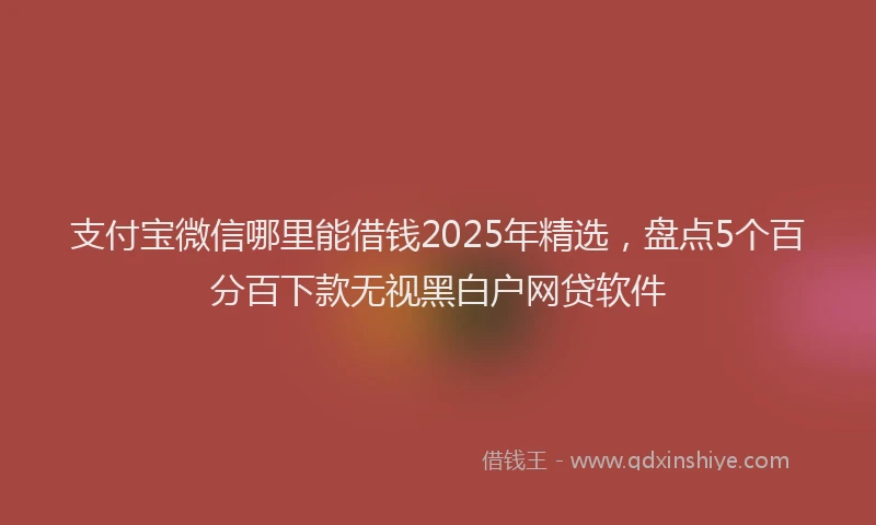 支付宝微信哪里能借钱2025年精选，盘点5个百分百下款无视黑白户网贷软件