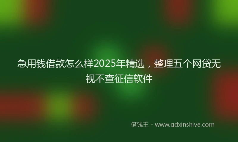 急用钱借款怎么样2025年精选，整理五个网贷无视不查征信软件