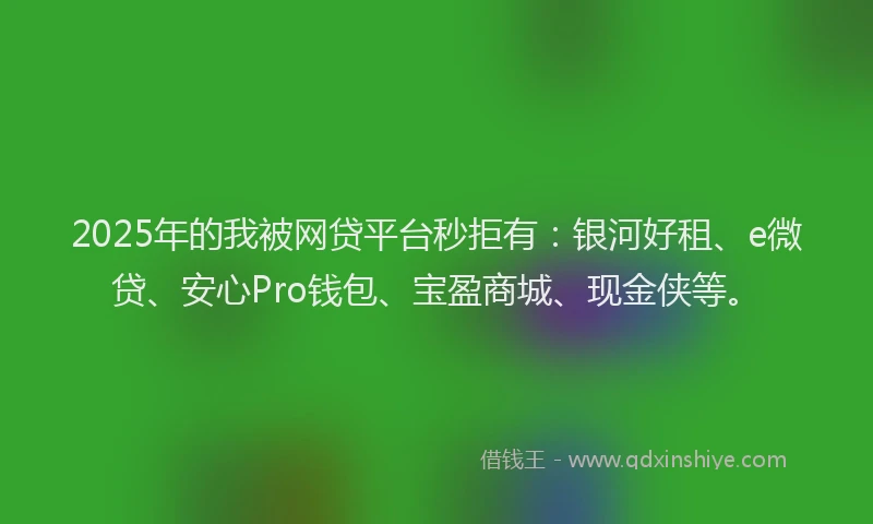 2025年的我被网贷平台秒拒有：银河好租、e微贷、安心Pro钱包、宝盈商城、现金侠等。