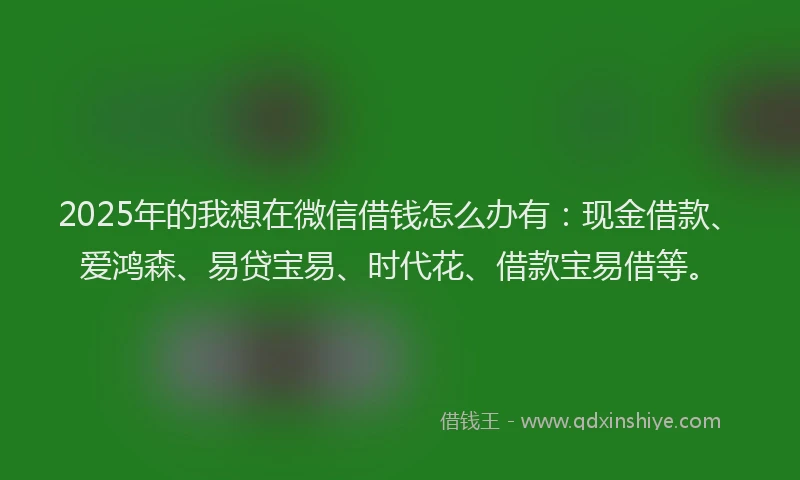 2025年的我想在微信借钱怎么办有：现金借款、爱鸿森、易贷宝易、时代花、借款宝易借等。