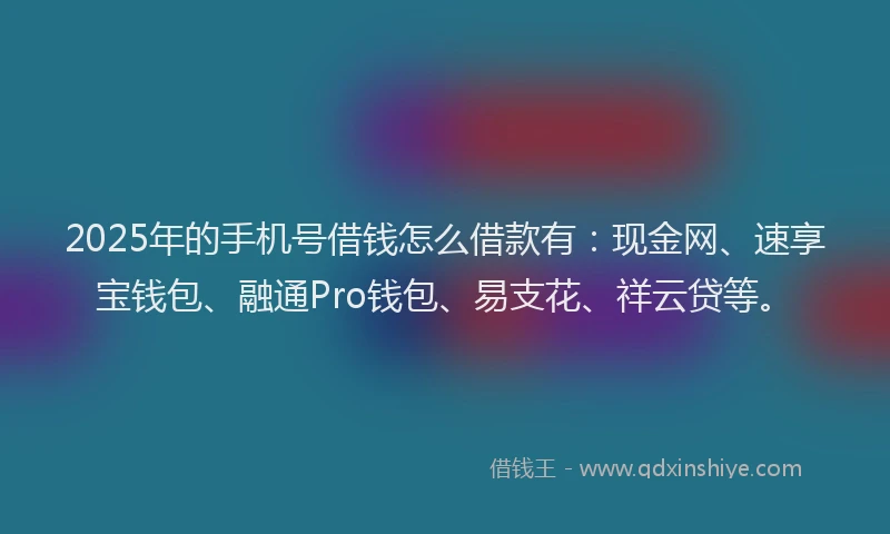 2025年的手机号借钱怎么借款有：现金网、速享宝钱包、融通Pro钱包、易支花、祥云贷等。