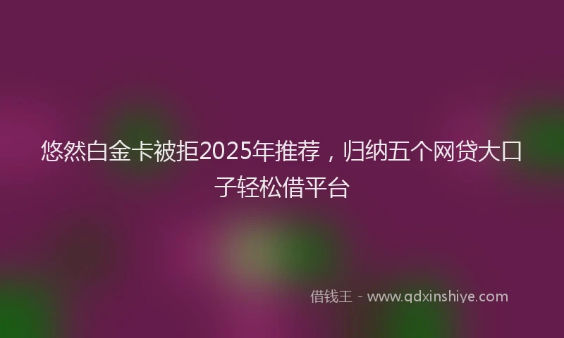 悠然白金卡被拒2025年推荐，归纳五个网贷大口子轻松借平台