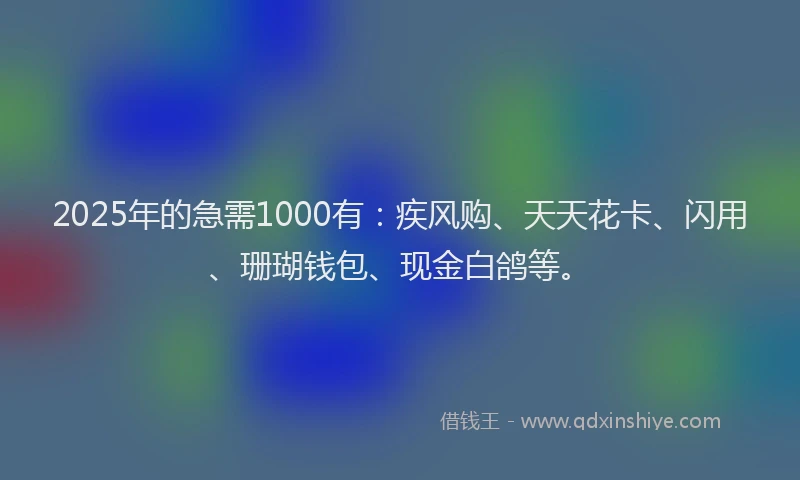2025年的急需1000有：疾风购、天天花卡、闪用、珊瑚钱包、现金白鸽等。