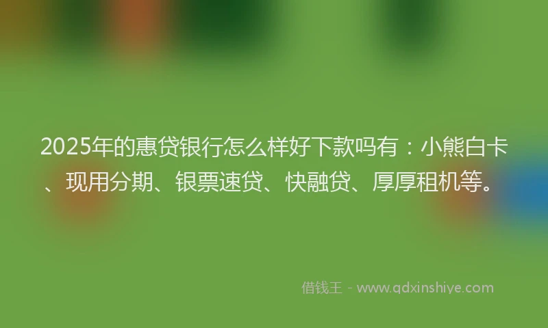 2025年的惠贷银行怎么样好下款吗有：小熊白卡、现用分期、银票速贷、快融贷、厚厚租机等。