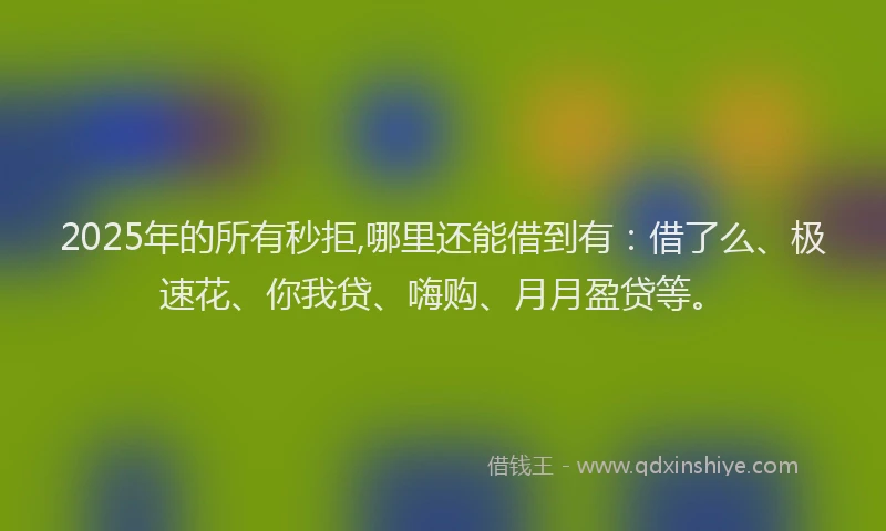 2025年的所有秒拒,哪里还能借到有：借了么、极速花、你我贷、嗨购、月月盈贷等。