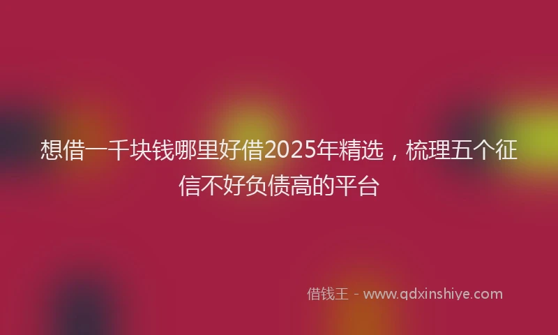 想借一千块钱哪里好借2025年精选，梳理五个征信不好负债高的平台