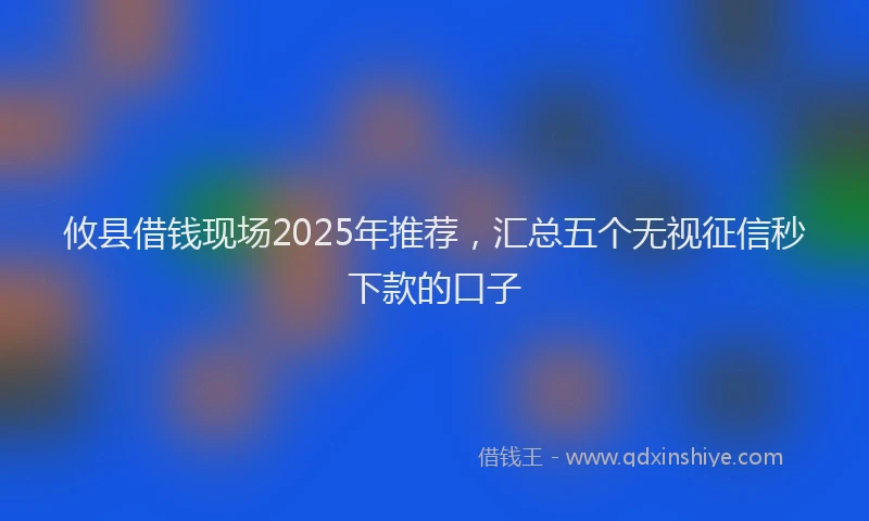 攸县借钱现场2025年推荐，汇总五个无视征信秒下款的口子