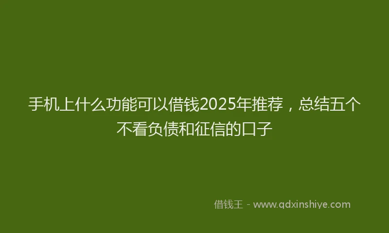 手机上什么功能可以借钱2025年推荐，总结五个不看负债和征信的口子
