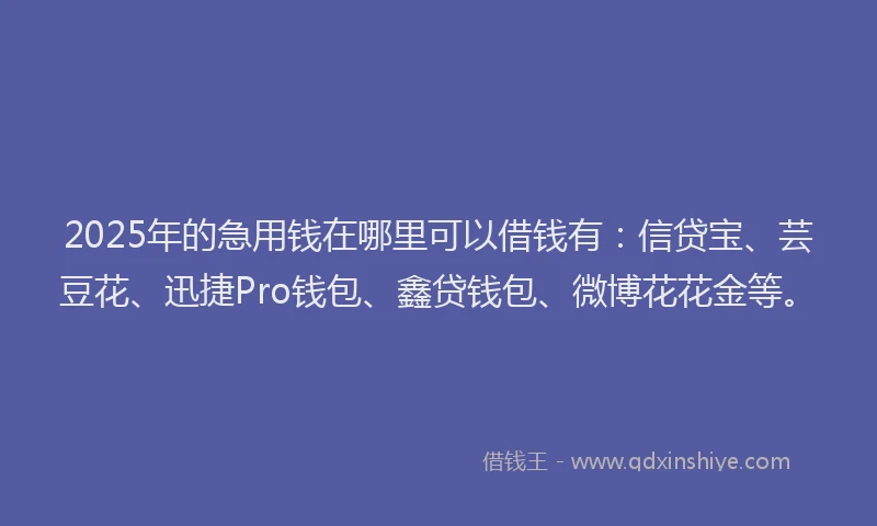 2025年的急用钱在哪里可以借钱有：信贷宝、芸豆花、迅捷Pro钱包、鑫贷钱包、微博花花金等。